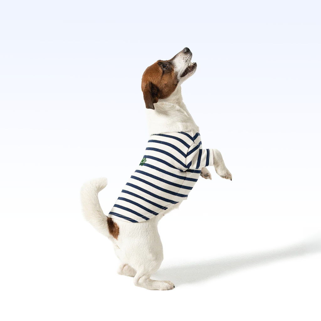 HWC_PARISIAN PUP SHIRT